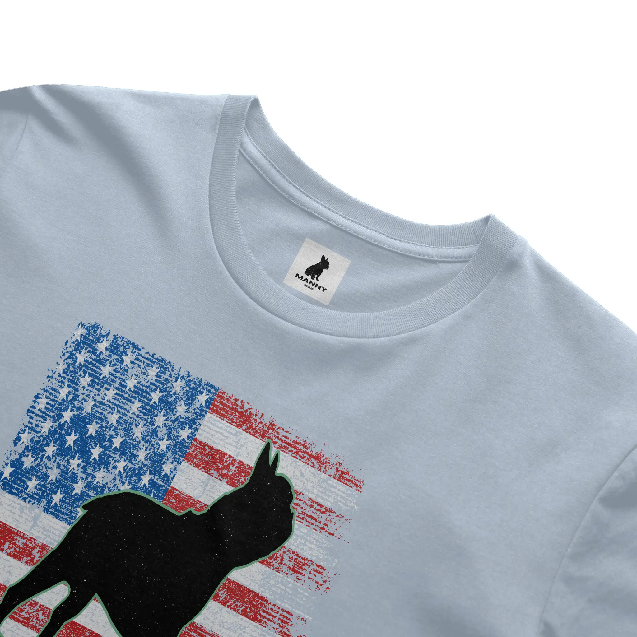 Bella Canvas T Shirt