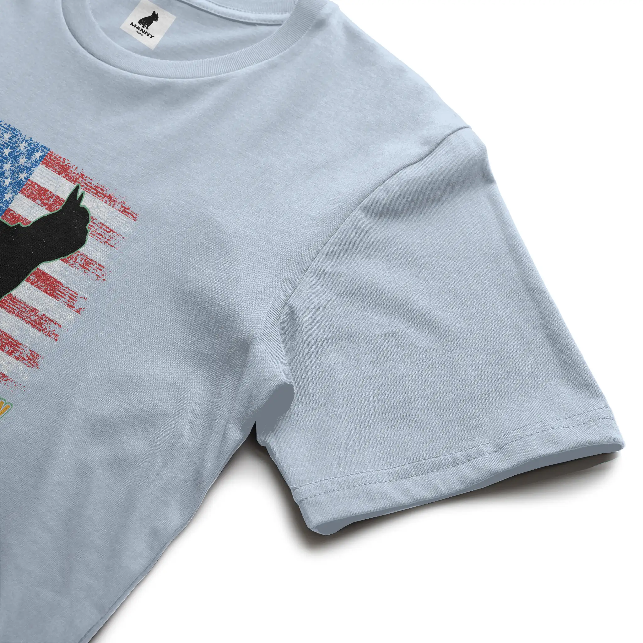 Bella Canvas T Shirt