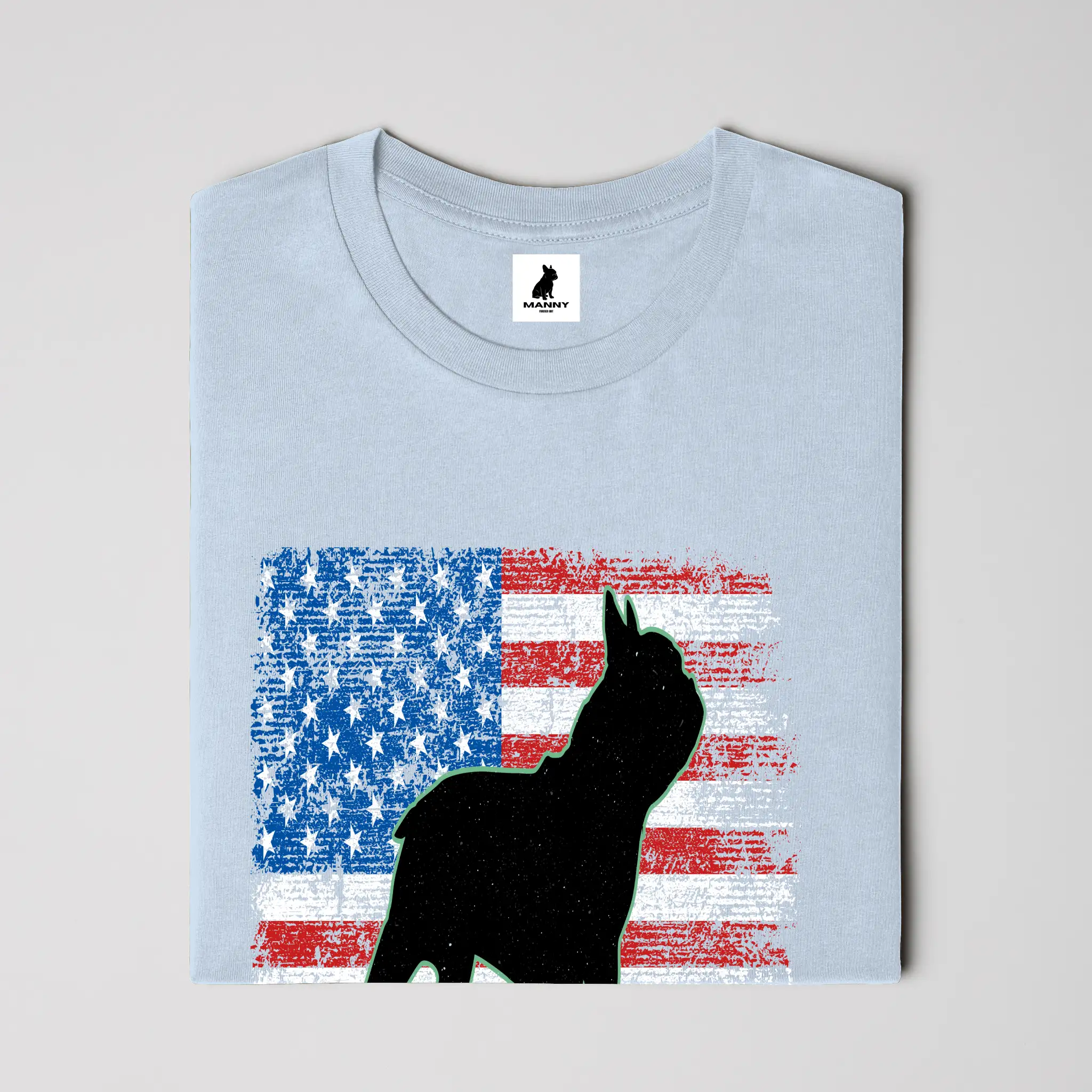 Bella Canvas T Shirt