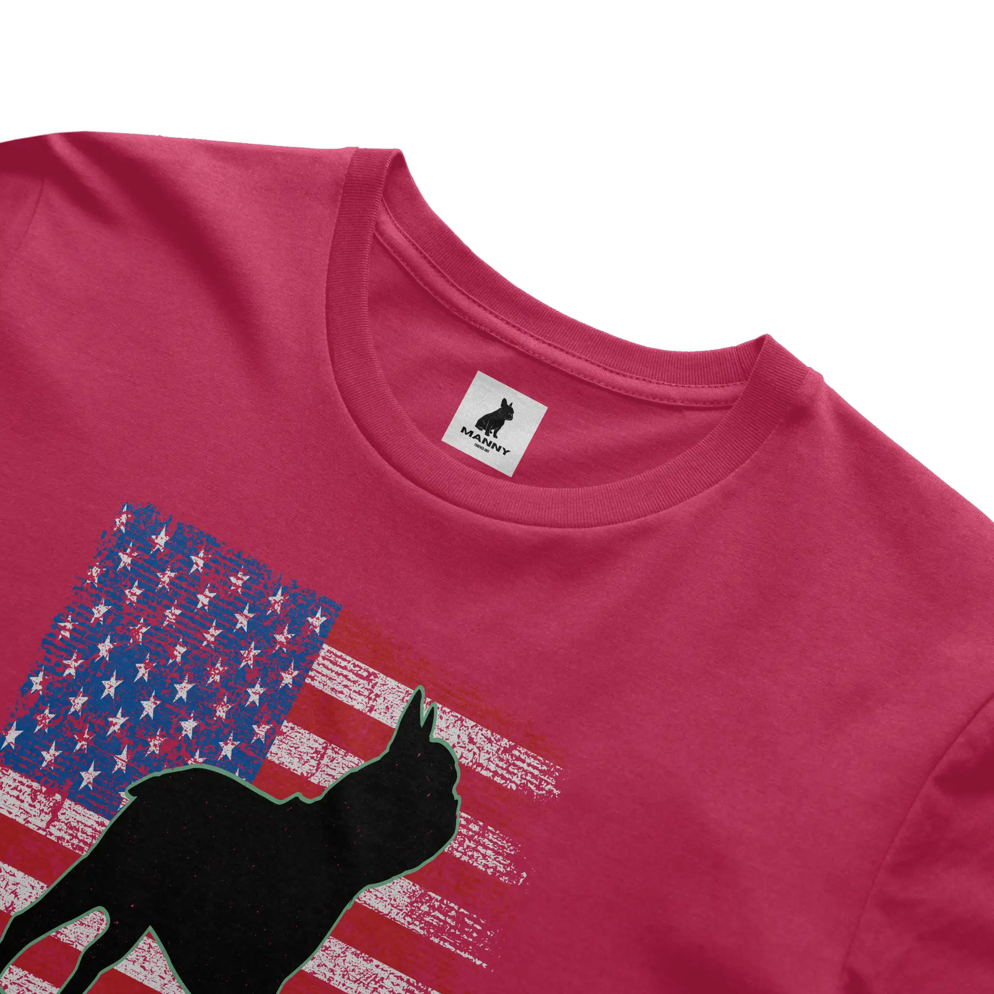 Bella Canvas T Shirt