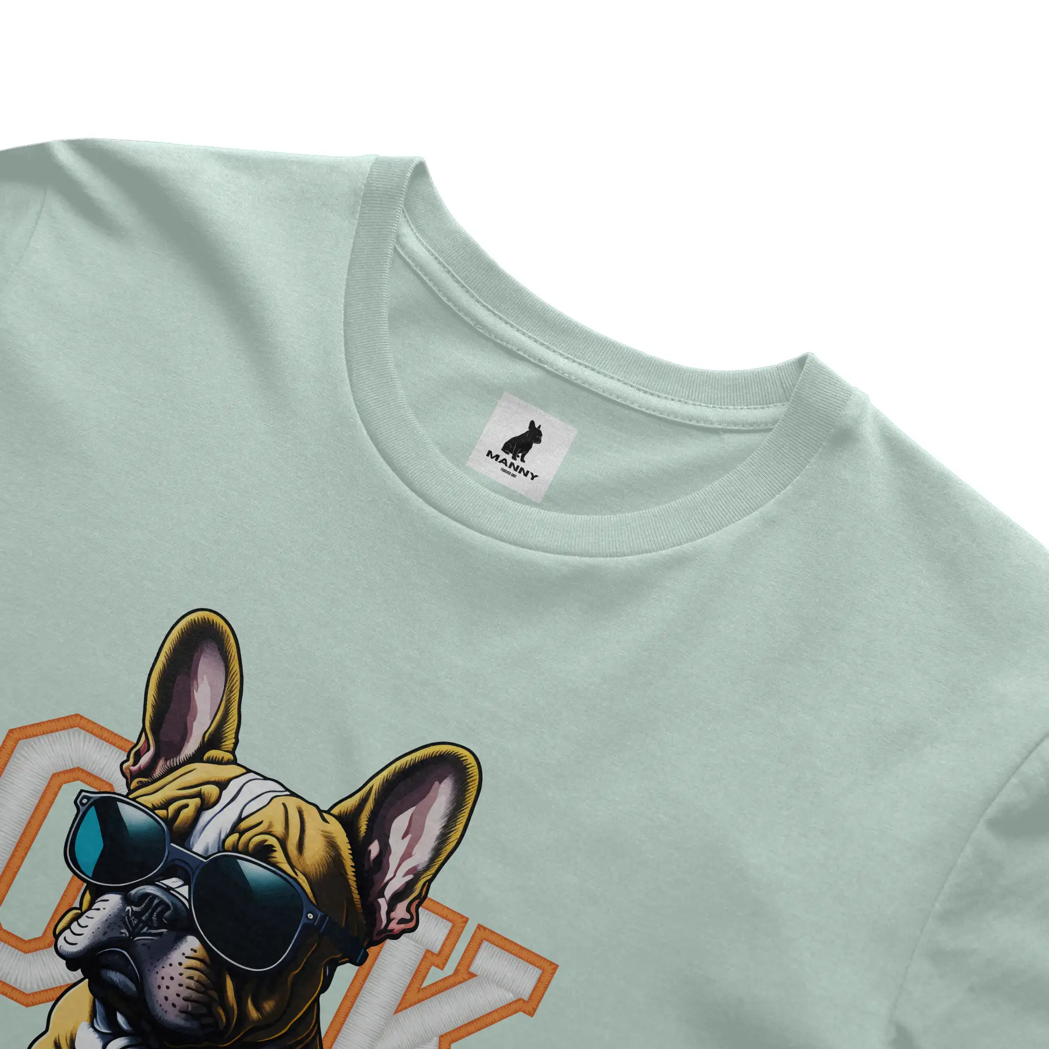Bella Canvas T Shirt