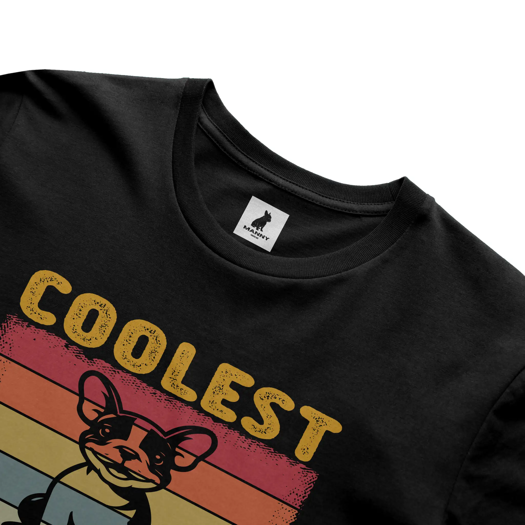 Bella Canvas T Shirt