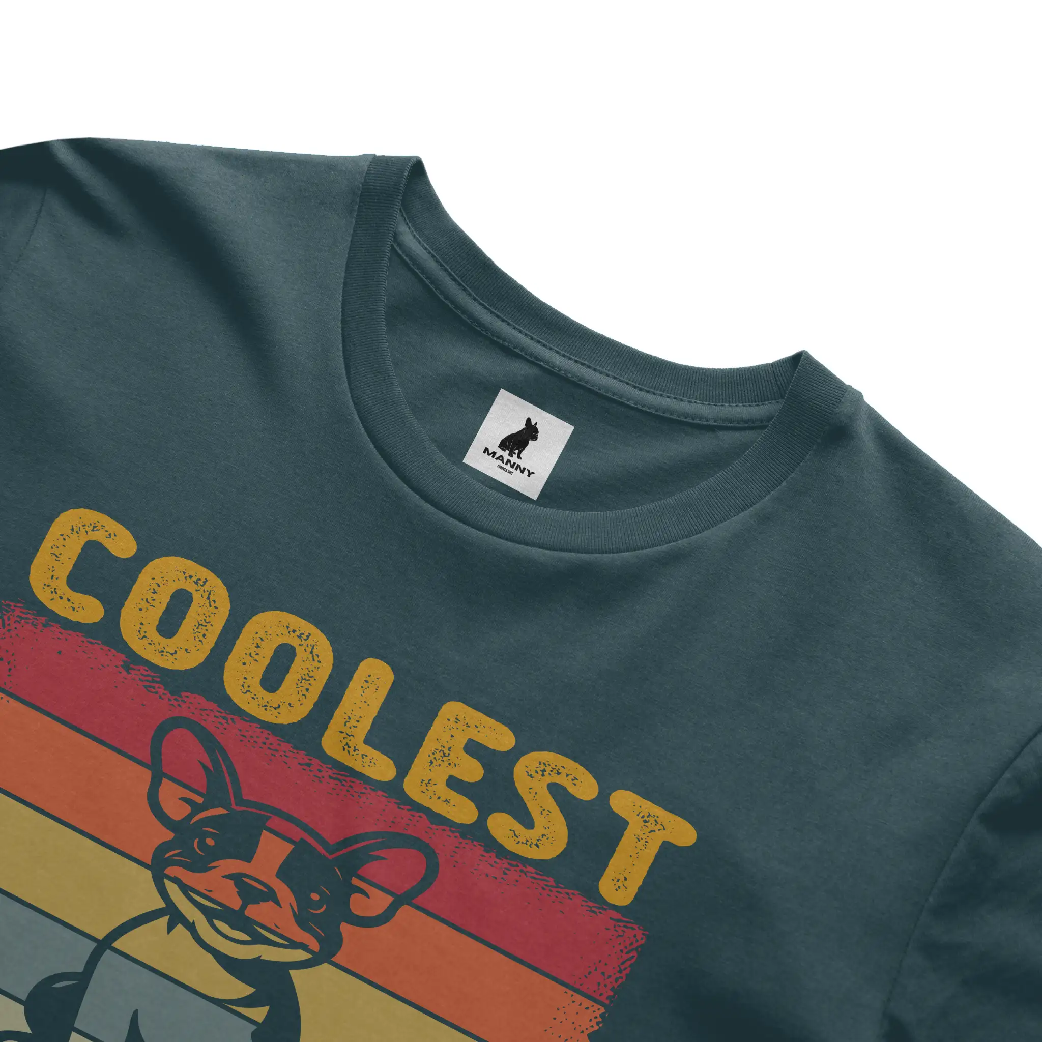 Bella Canvas T Shirt
