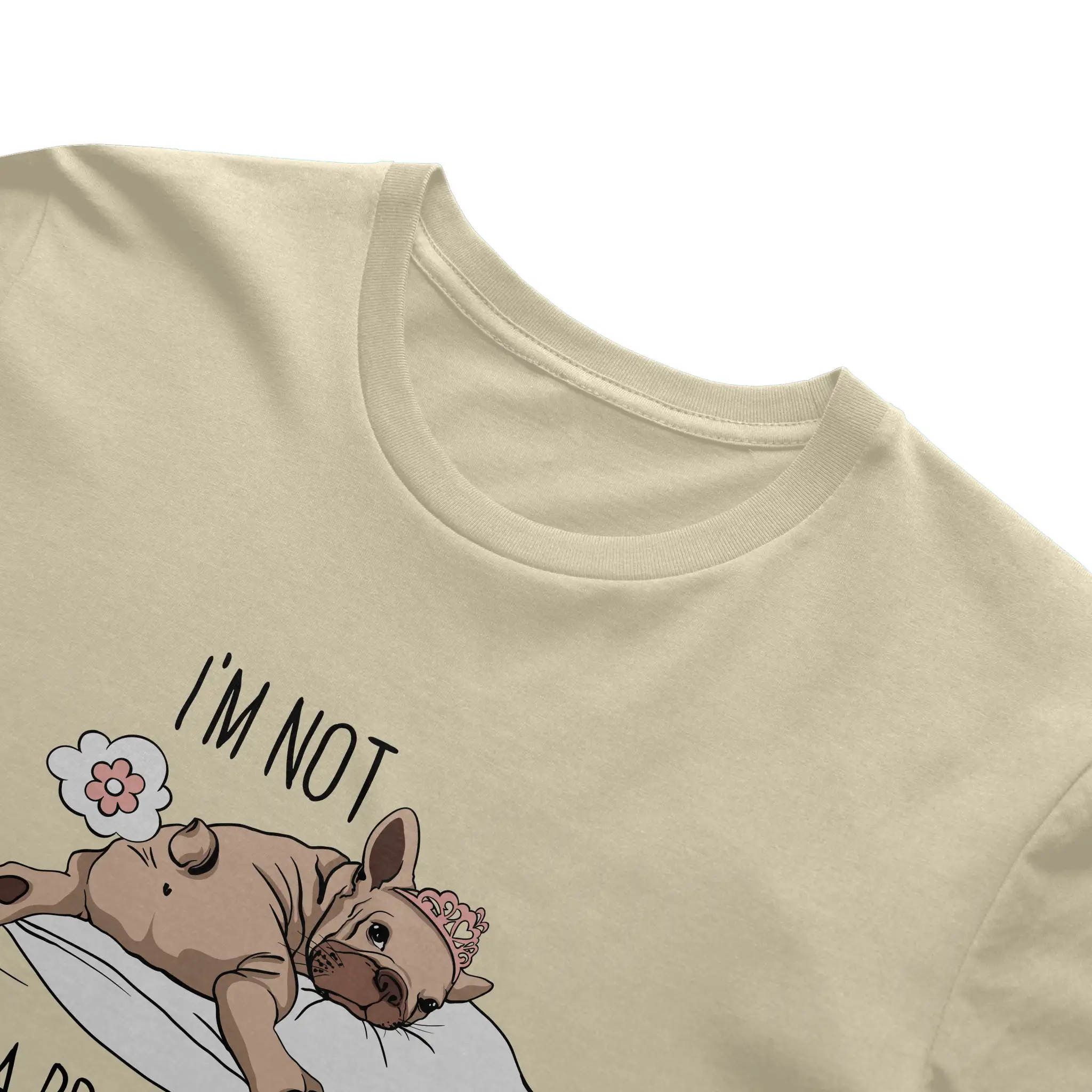 Bella Canvas T Shirt
