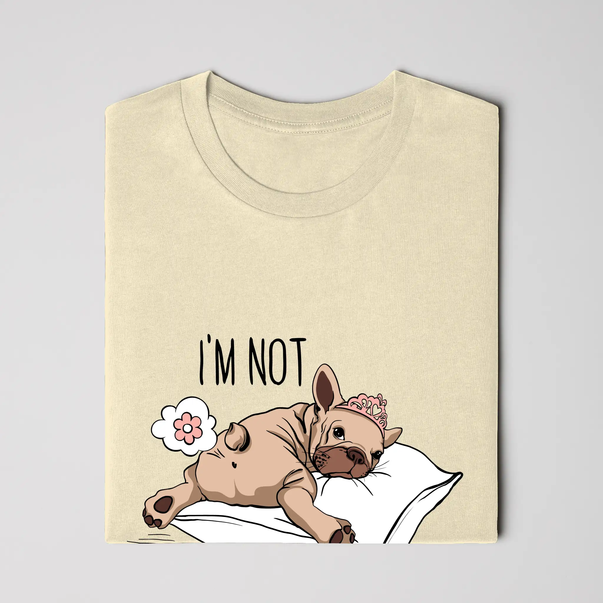 Bella Canvas T Shirt