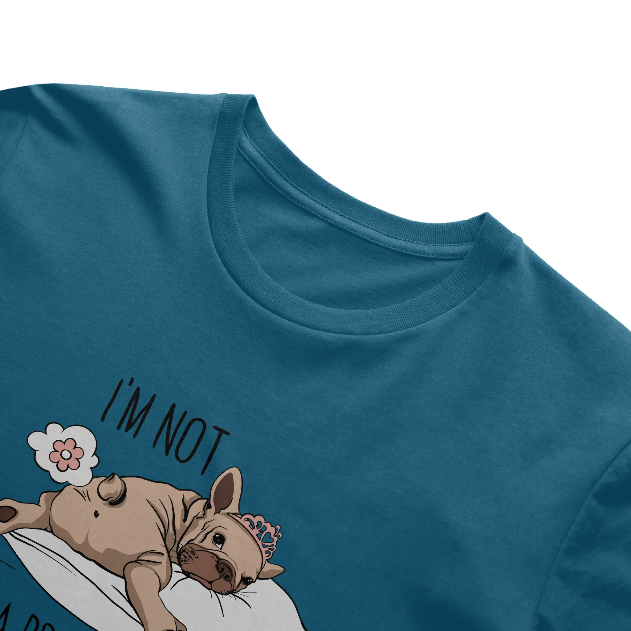 Bella Canvas T Shirt