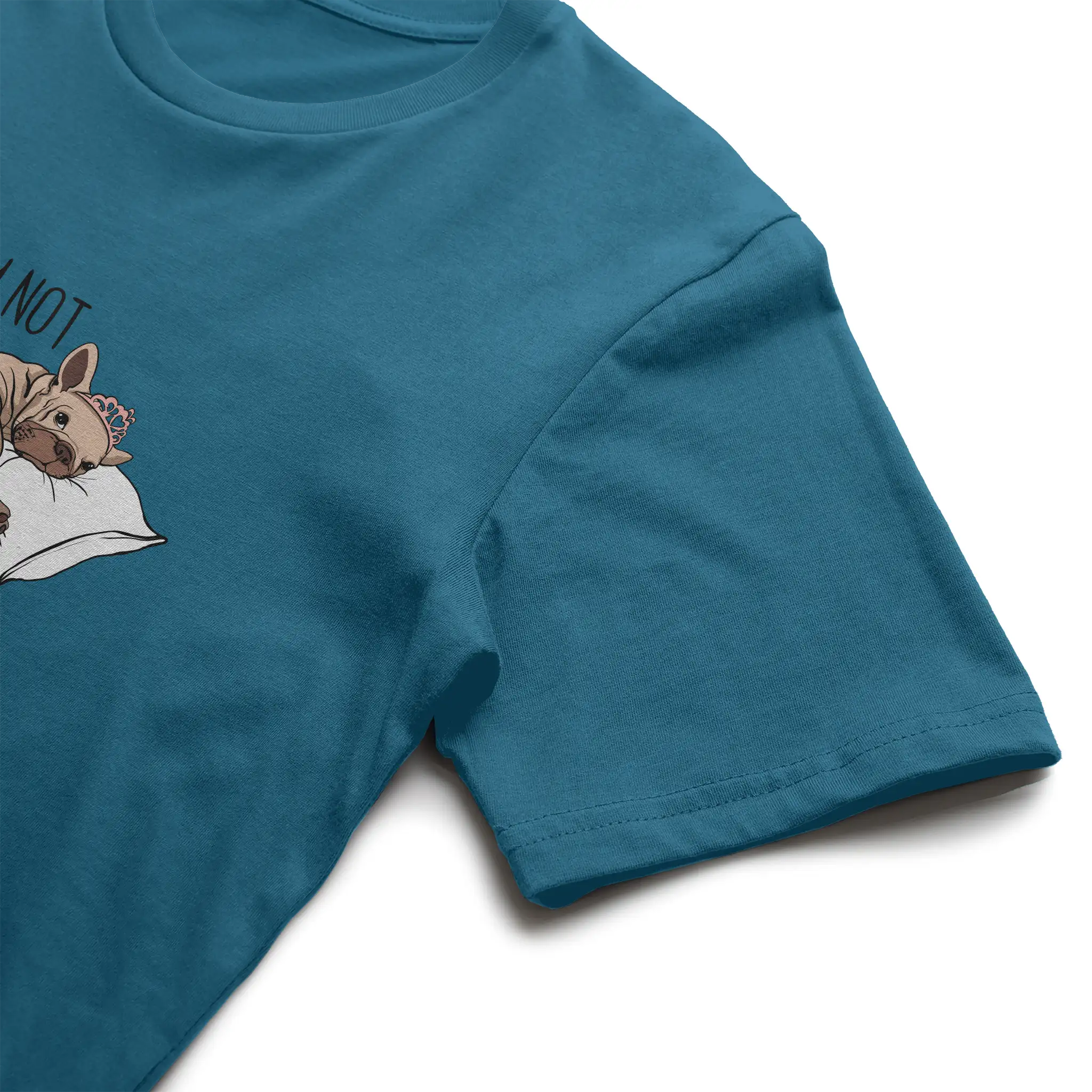 Bella Canvas T Shirt