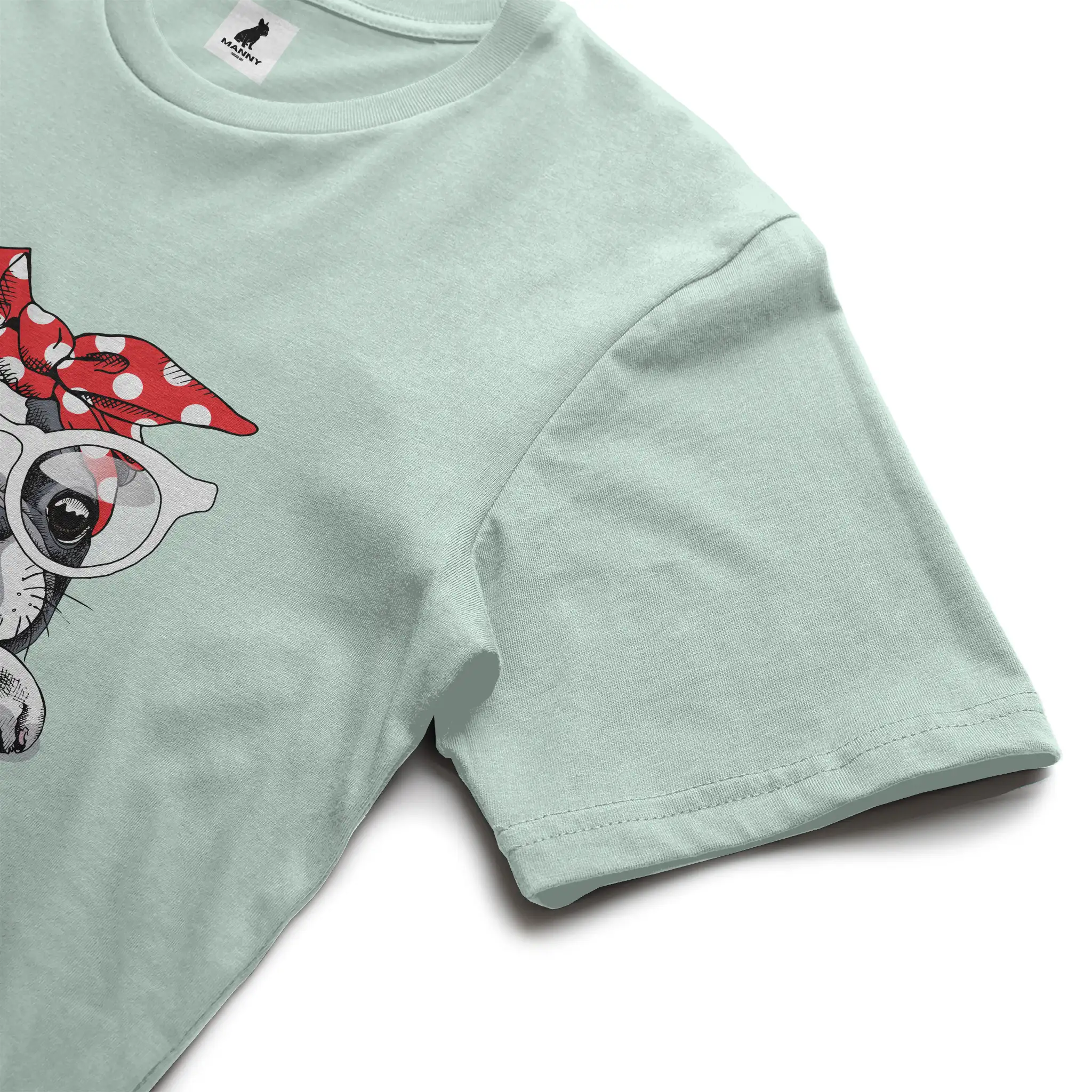 Bella Canvas T Shirt