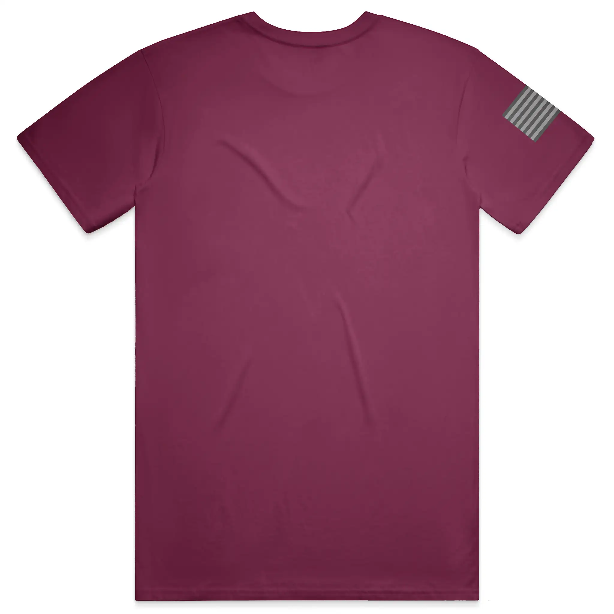 Pardon my Frenchie T Shirt
