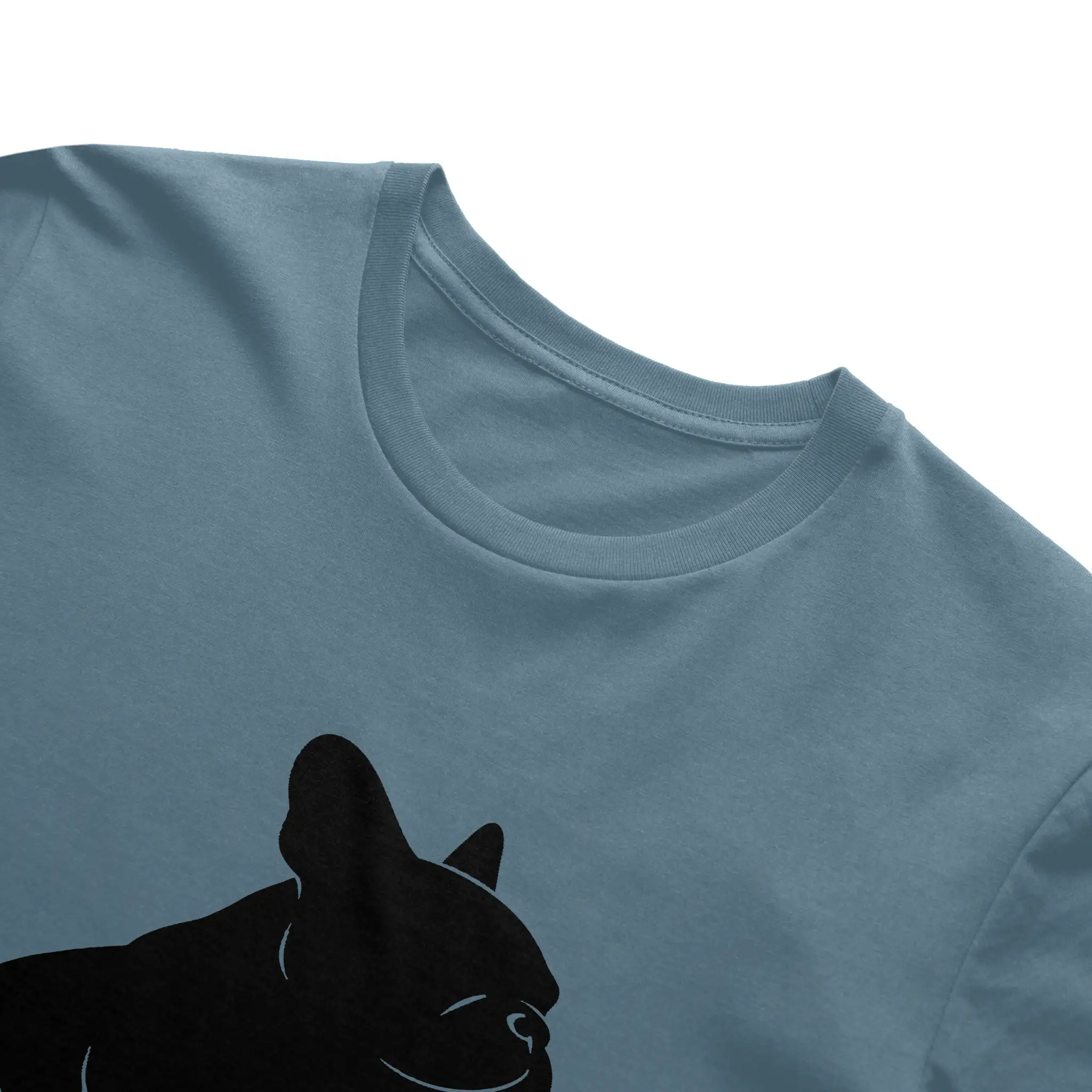 Bella Canvas T Shirt
