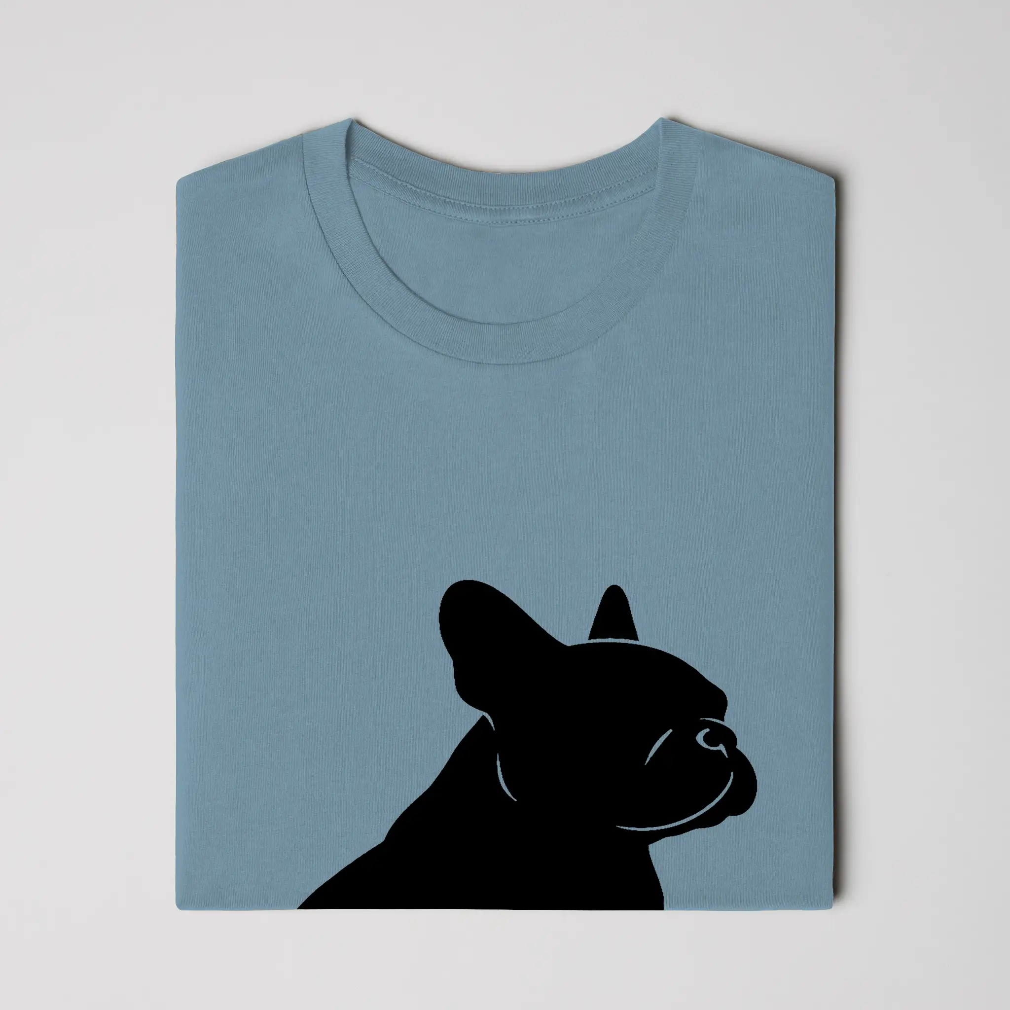 Bella Canvas T Shirt