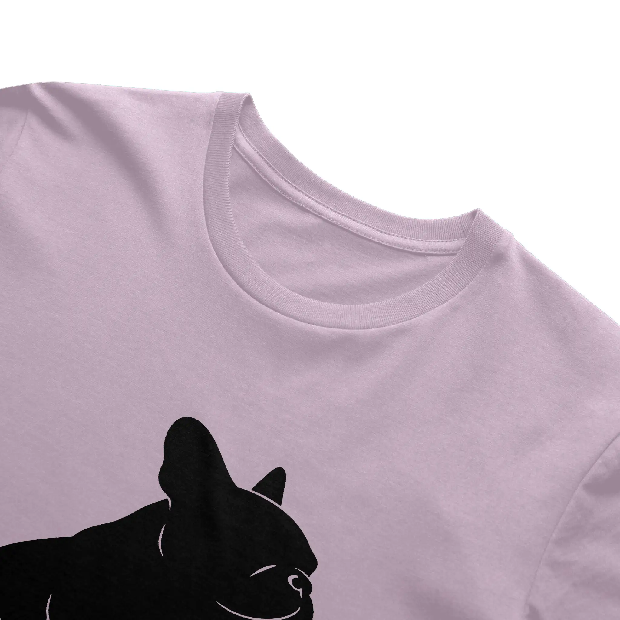 Bella Canvas T Shirt