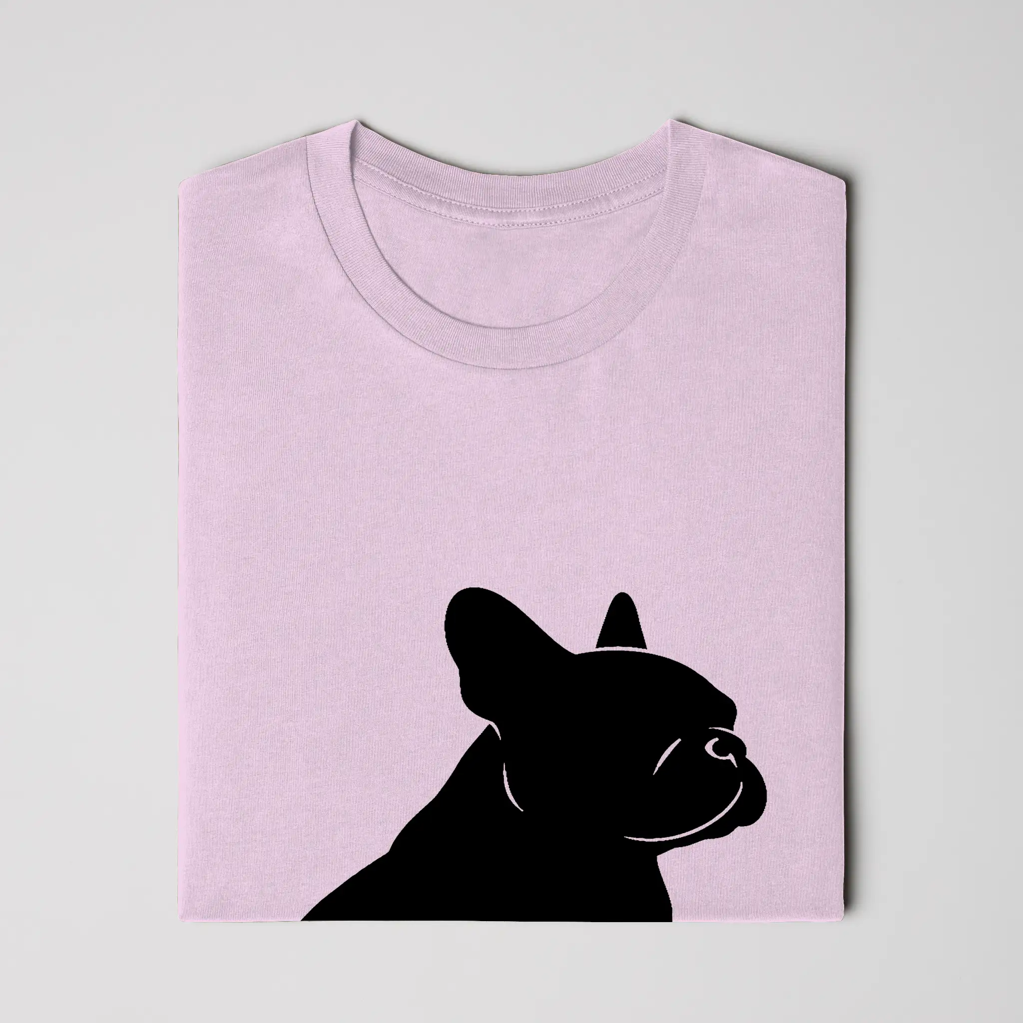 Bella Canvas T Shirt