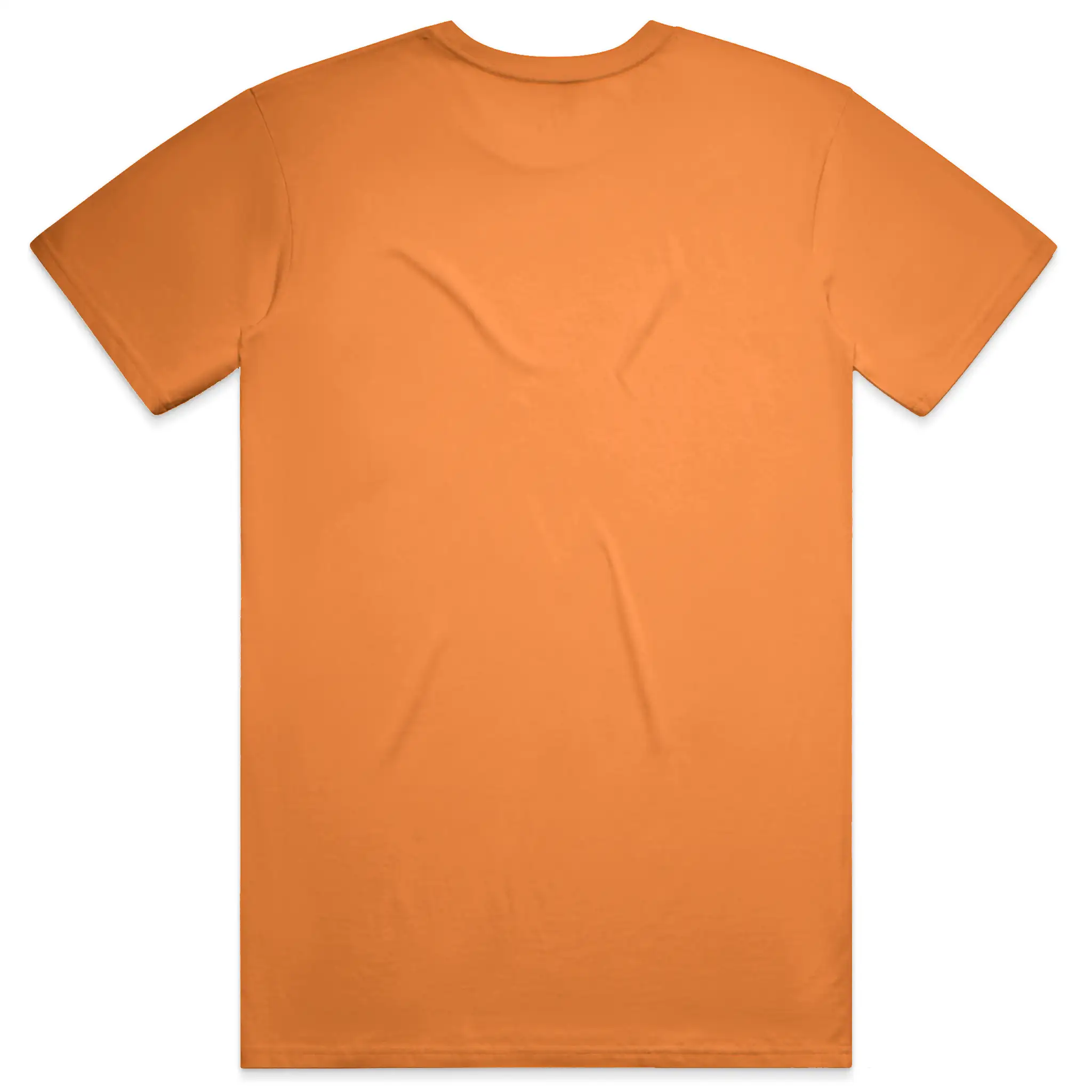 Bella Canvas T Shirt
