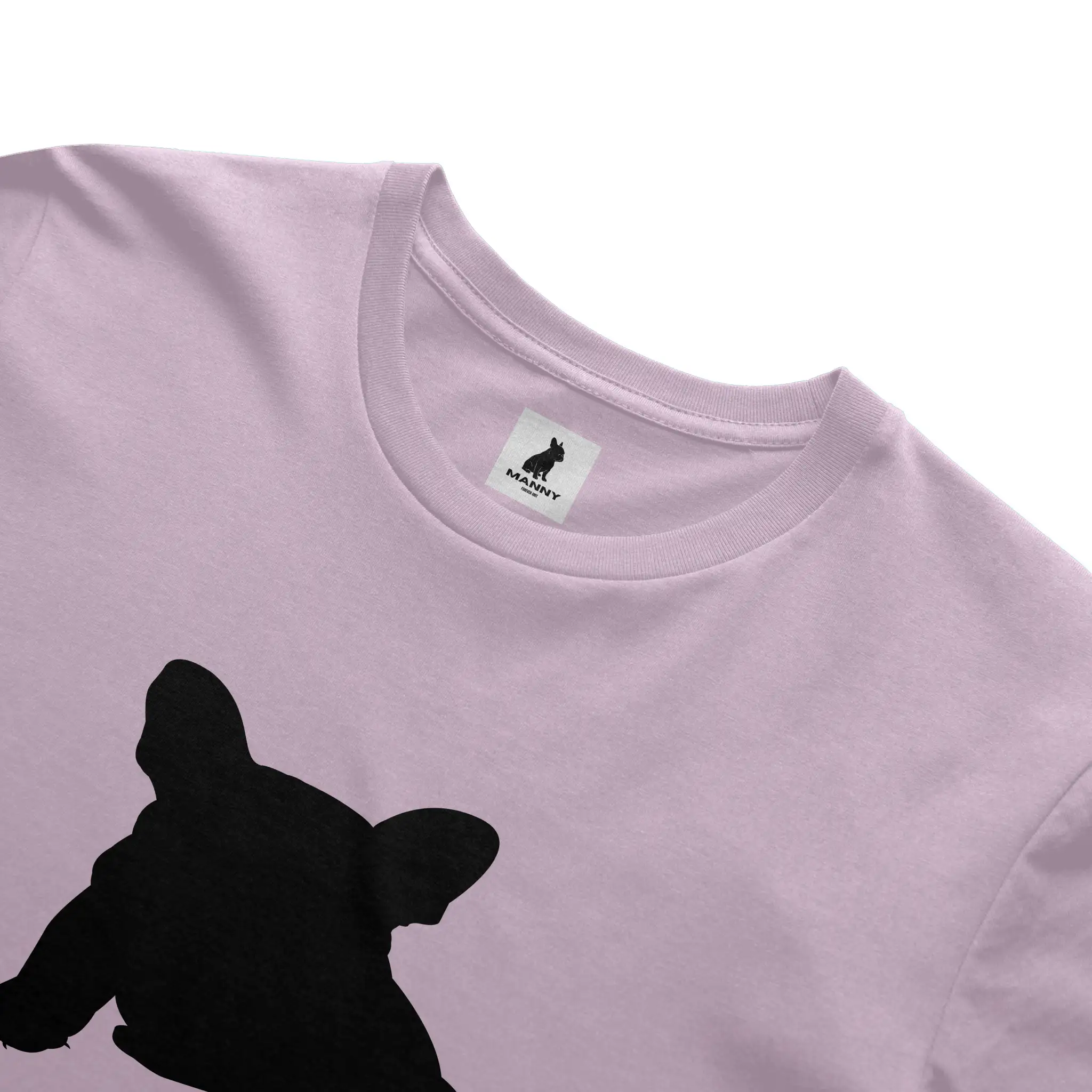 Bella Canvas T Shirt